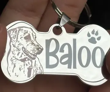 Foto de catálogo: placa de hueso grabada